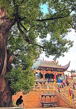 西平庐庙人口_人口普查图片(3)