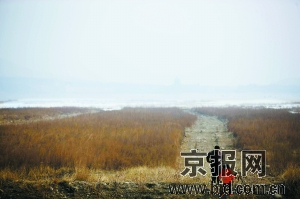 2dac5080baa76f95b17c820ad39f903c.jpg