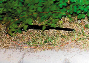 自制枪弹抢劫奔驰宝马车主