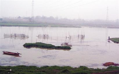 图文:捕鱼"迷魂阵"肆虐举水河_新闻中心_新浪网