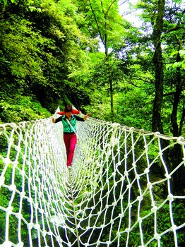 清明,美景就在山那边