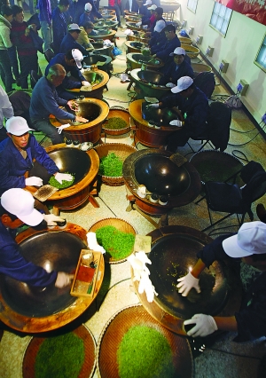 采茶狮峰上