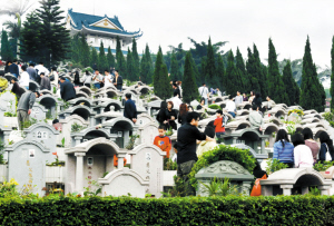墓地20年使用年限引争议