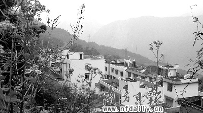 粤侨对汶川的无声之爱