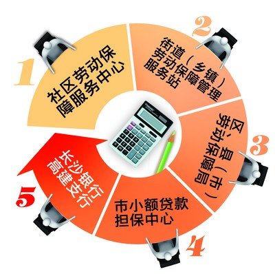 大学生最关心的创业政策是什么?记者对此进行了调查.图片