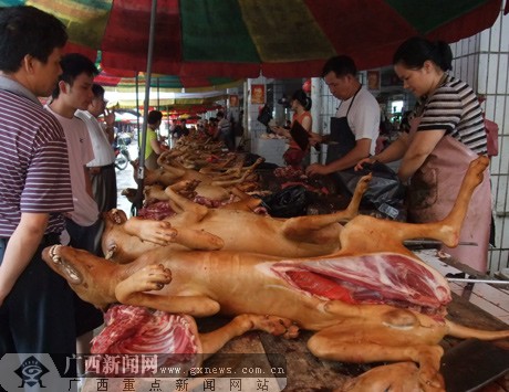 [原创]玉林荔枝狗肉节:市民赤膊喝酒吃肉"爽!