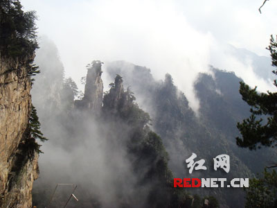 �żҽ�����Դ���ľ��������Ʊ�Ӵ�ȫ��ѧ��