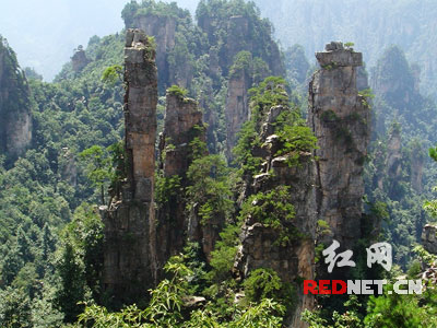 �żҽ�����Դ���ľ��������Ʊ�Ӵ�ȫ��ѧ��