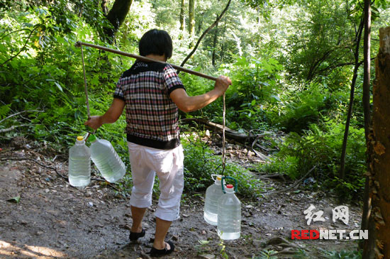 不少岳麓山脚下的市民,常年这样上山接山泉水.