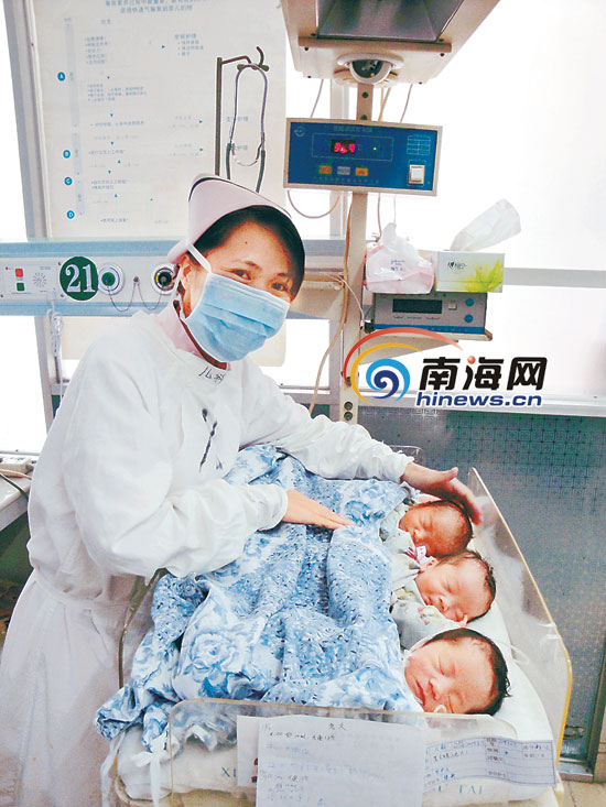海口一对江西籍打工夫妇喜得三胞胎[图]