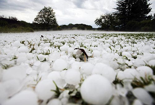 中欧地区遭遇极端天气 瑞士突降鸡蛋大小冰雹