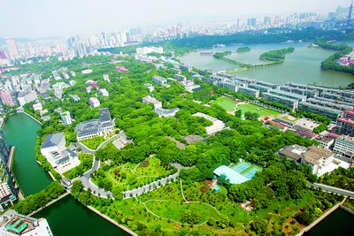 国家森林城市人均公园_人均城市绿化率(3)