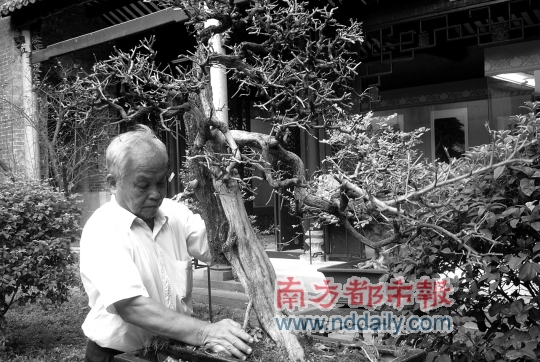 ����������س������������㡱ף�����