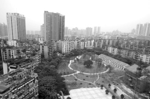 这个社区的真情服务很贴心