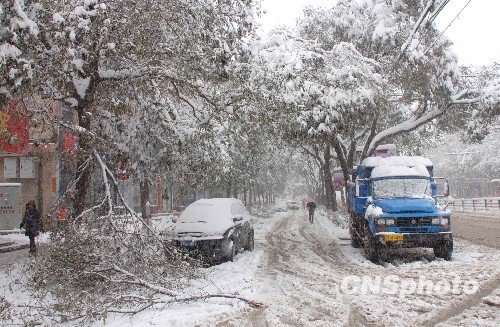 山东河北东北等地有大到暴雪 黄淮江淮华南有