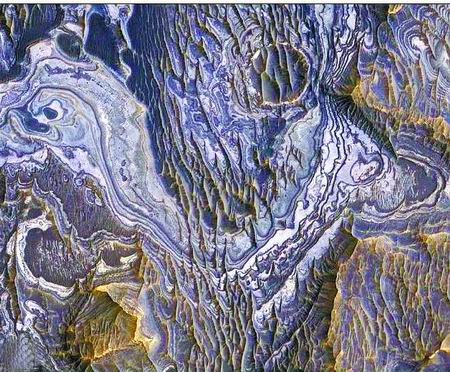 丘惊现黑树林 火星生命新证据 NASA隐瞒多