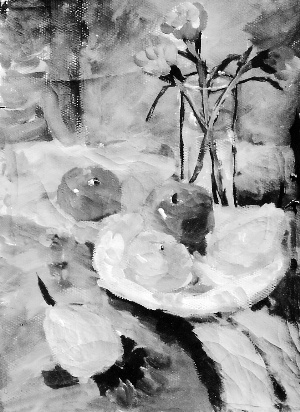 静物 兰州三十五中 王天龙