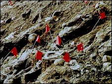 塞尔维亚决定为1995年斯雷布雷尼察大屠杀道