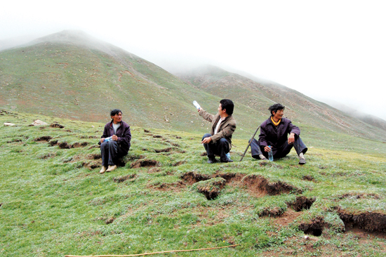 青海省都兰县的文物保护员,每月只挣100元(图