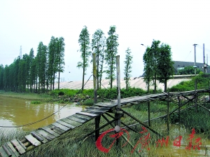 教师疑妻子不忠将其杀死后分尸