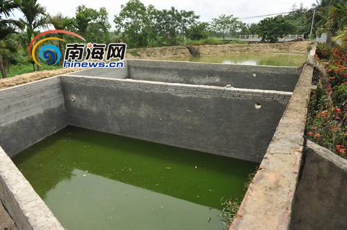 村民反映琼海一屠宰厂排污造成农田水源污染