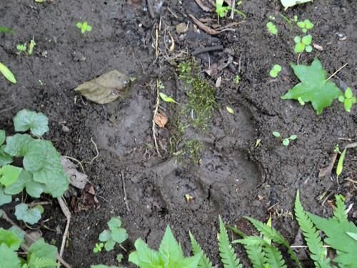 ������ӭ����ҵ�ַ���Ұ���������ټ�(��ͼ)