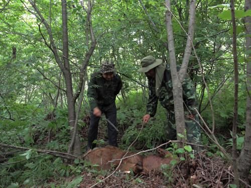 ������ӭ����ҵ�ַ���Ұ���������ټ�(��ͼ)