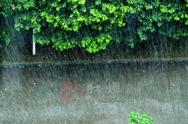 高清雨景图