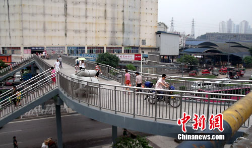重庆一人行天桥成 三不管 地带 摩托车与行人争