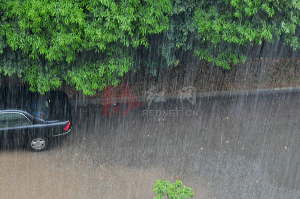 昨夜秋风今晨雨(图)