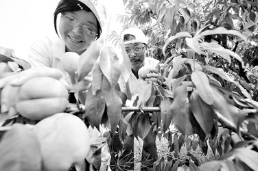 近日,由上海光明集团_新闻中心_新浪网