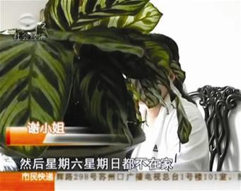 图文:公务员前夫为<em>女模</em>拍<em>不雅照</em>?_新闻中心_新