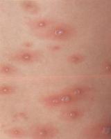 ������ڲ���ˮ�����没�����������ɷ����ص�