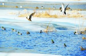 ��ˮ����ҰѼ��Ⱥ