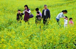 ����Է��ֵع������¸�