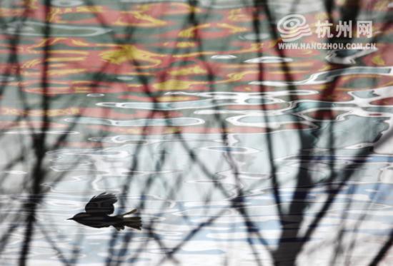 �����������������Ƽ�