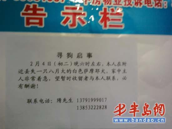 ��Ѯ�Ϻ�����ʾ"��ԪѰ��"����о��е����