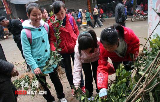 ����10��ѧ���á�ѹ��Ǯ��ֲ��ѹ������