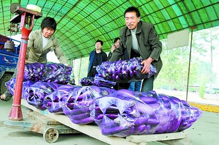 ɽˮ������������