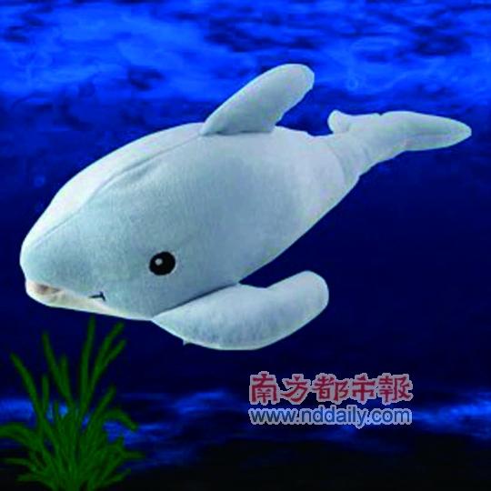 这海豚是催眠专家哦_新闻中心_新浪网