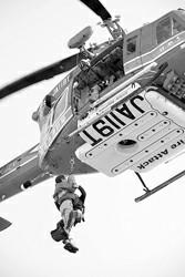 ��˯�����ƺ�����һֻ��