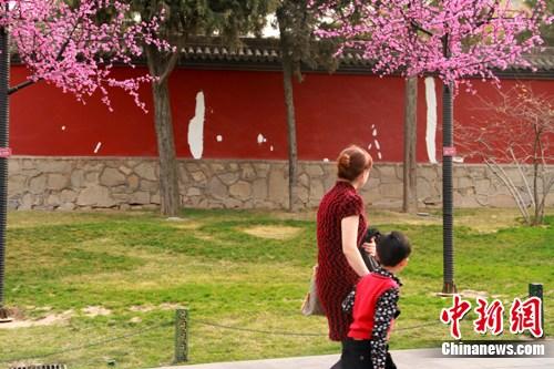 �����ɱ������ǹ������ӭ����罵������