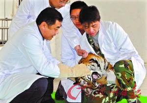 �й���99ֻ���ϻ����조֤��