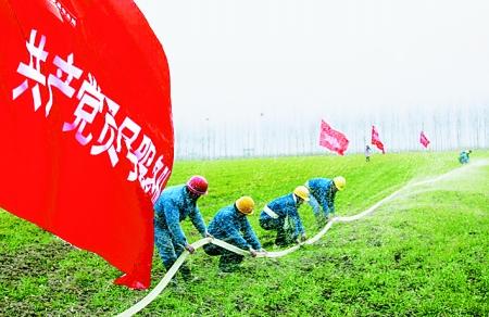 ����ץס��ʳ����������