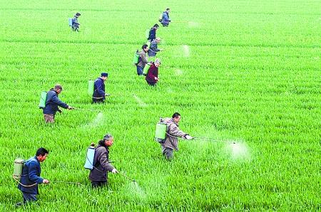 ȫ���Ը�����ն�벢�ٱ������֡�