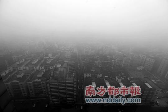 ��������������������Ϯ