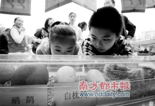 269ֻҰ��ع���Ȼ