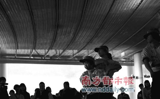 �����׸����Ʊ�����