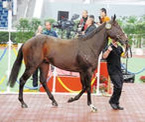 ��۾ٰ������ƥ��������ɽ�����470���Ƽ�¼