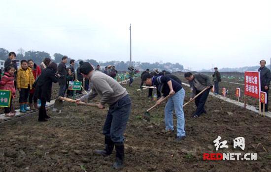 һ����Сȥ����ũ�������ֲ˰β�¦�׿�չȤζũ�¾���